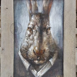 portret królika
